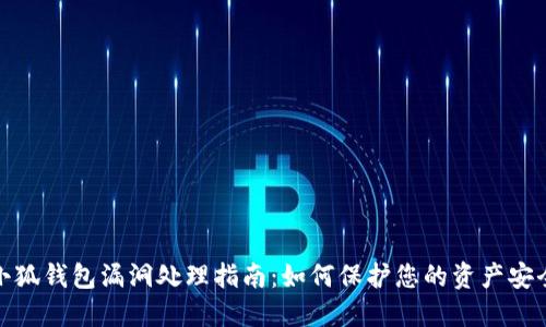 小狐钱包漏洞处理指南：如何保护您的资产安全
