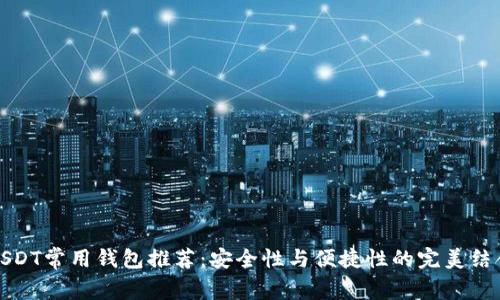 USDT常用钱包推荐：安全性与便捷性的完美结合