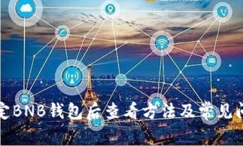 冰币绑定BNB钱包后查看方法及常见问题解析