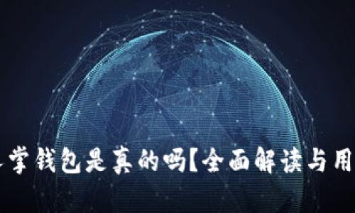区块链仙人掌钱包是真的吗？全面解读与用户体验分析
