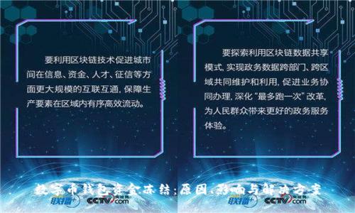 数字币钱包资金冻结：原因、影响与解决方案