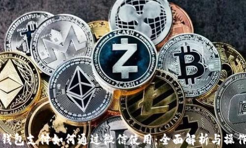 
小狐钱包支付如何通过微信使用：全面解析与操作指南