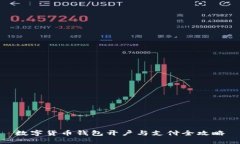数字货币钱包开户与支付