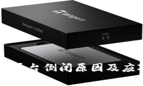 虚拟币钱包平台倒闭原因及应对策略解析
