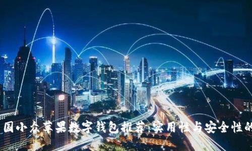2023年美国小众苹果数字钱包推荐：实用性与安全性的完美结合