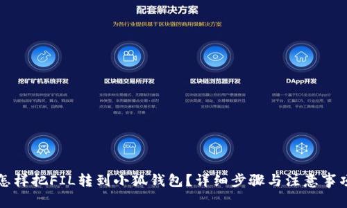 怎样把FIL转到小狐钱包？详细步骤与注意事项
