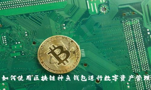 如何使用区块链神鱼钱包进行数字资产管理