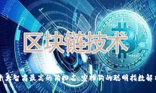 十大智商最高的狗排名：宠物狗的聪明指数解析