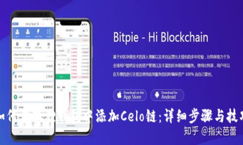 如何在狐狸钱包中添加Celo链：详细步骤与技巧