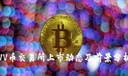 VV币交易所上市动态及前景分析