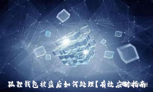  
狐狸钱包被盗后如何处理？有效应对指南