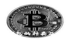 数字货币钱包的种类及其