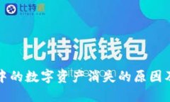 小狐钱包中的数字资产消