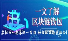 虚拟币一夜暴涨一万倍：