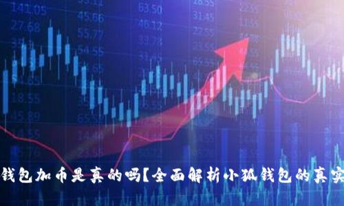 小狐钱包加币是真的吗？全面解析小狐钱包的真实情况