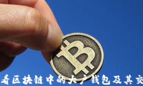 
如何查看区块链中的大户钱包及其交易动态