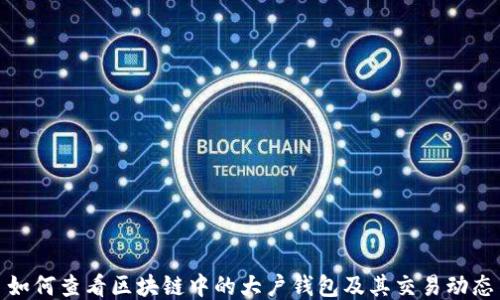 
如何查看区块链中的大户钱包及其交易动态