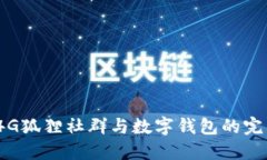 探索P4G狐狸社群与数字钱