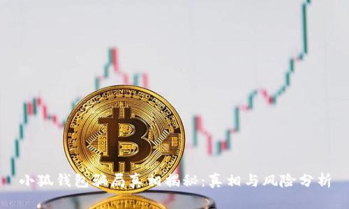 小狐钱包骗局真相揭秘：真相与风险分析