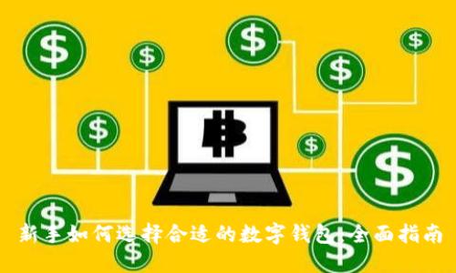 新手如何选择合适的数字钱包：全面指南