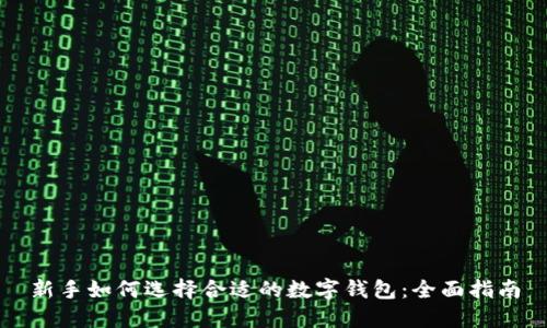 新手如何选择合适的数字钱包：全面指南