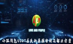 小狐钱包USDT丢失的原因分