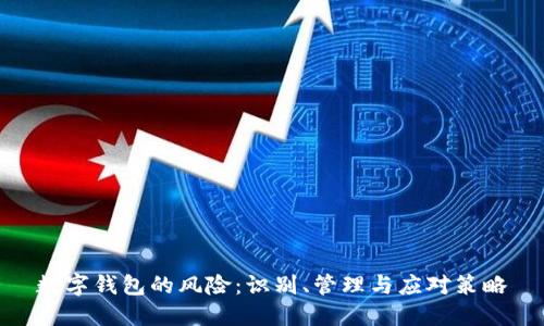 数字钱包的风险：识别、管理与应对策略