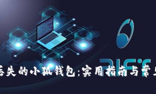 如何处理丢失的小狐钱包：实用指南与常见问题解答