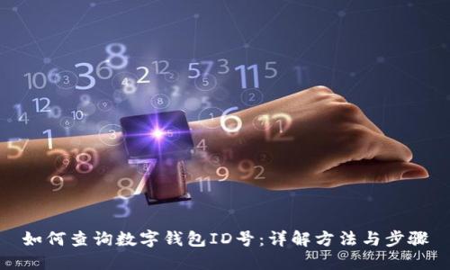 如何查询数字钱包ID号：详解方法与步骤