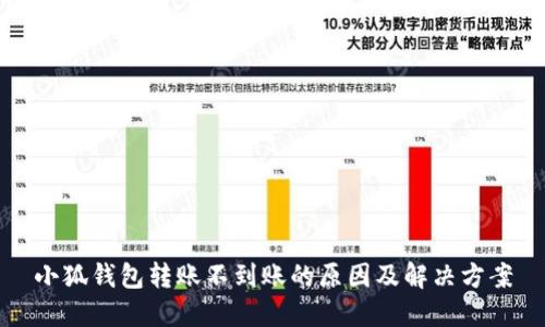 小狐钱包转账不到账的原因及解决方案