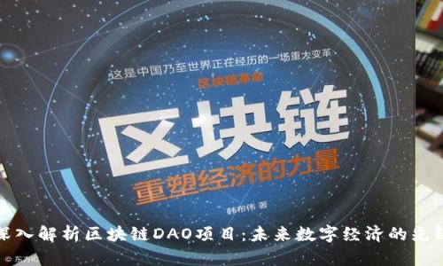 深入解析区块链DAO项目：未来数字经济的先锋