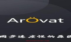 虚拟币钱包同步速度慢的