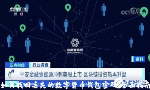 
如何找回丢失的数字货币钱包密码：全面指南