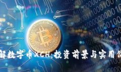 深入了解数字币XCH：投资
