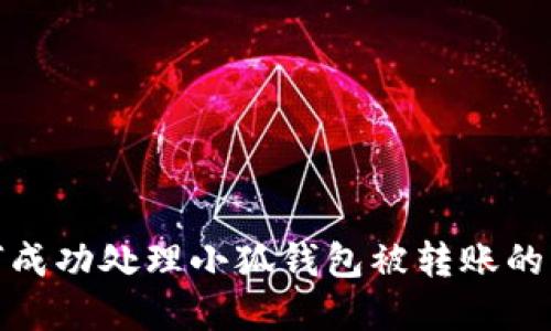 如何成功处理小狐钱包被转账的情况