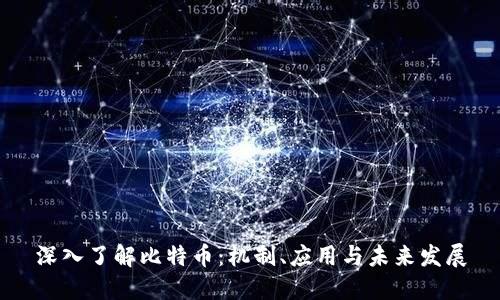 深入了解比特币：机制、应用与未来发展