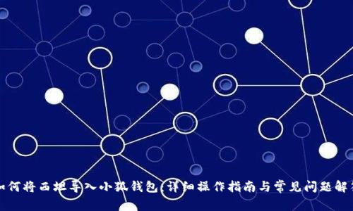 如何将西坦导入小狐钱包：详细操作指南与常见问题解答