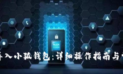 如何将西坦导入小狐钱包：详细操作指南与常见问题解答