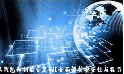 
小狐钱包私钥能否复制？全面解析安全性与操作指南