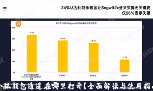 
小狐钱包通道在哪里打开？全面解读与使用指南