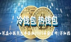 如何在小狐钱包中添加USDT币安主网：详细指南