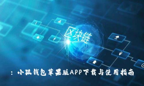 : 小狐钱包苹果版APP下载与使用指南