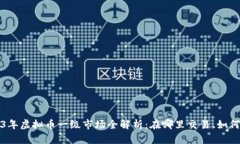 2023年虚拟币一级市场全解