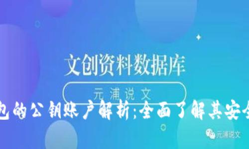 比特币钱包的公钥账户解析：全面了解其安全性与功能