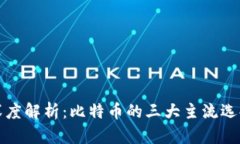 深度解析：比特币的三大主流选择